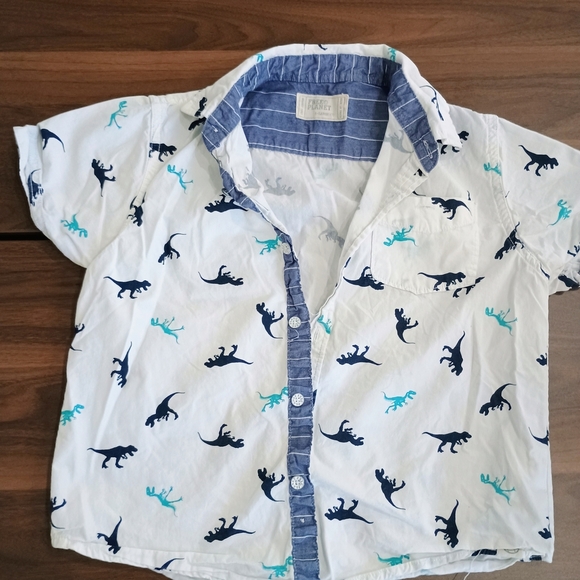 Dinosaur Print Kids Shirt - White and Blue - Picture 1 of 4